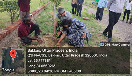 Saving the Environment